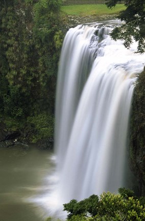 Framed Whangarei Falls, Whangarei, Northland, New Zealand Print