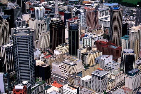 Framed Auckland skyscapers, New Zealand Print