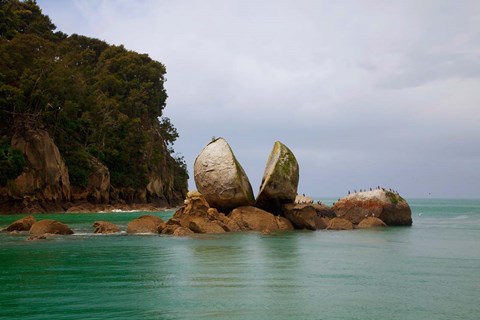 Framed Split Rock, Kaiteriteri Coast, Abel Tasman National Park, South Island, New Zealand Print