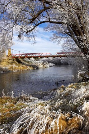 Framed Historic Suspension Bridge, Taieri River, South Island, New Zealand Print