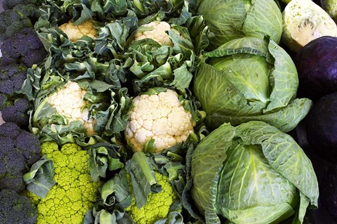 Framed Vegetable Stall, Cromwell, Central Otago, South Island, New Zealand Print