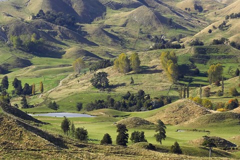 Framed Farmland near Bells Junction, Rangitikei District, Central North Island, New Zealand Print