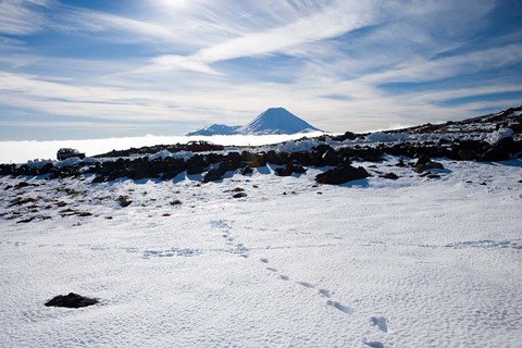 Framed Footsteps in Snow and Mt Ngauruhoe, Tongariro National Park, North Island, New Zealand Print