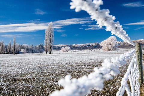 Framed Hoar Frost and Farmland near Poolburn, Central Otago, South Island, New Zealand Print