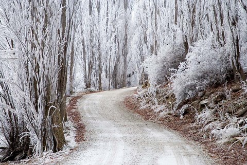 Framed Hoar Frost and Road by Butchers Dam, South Island, New Zealand (horizontal) Print