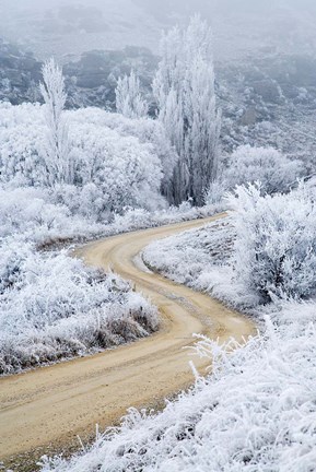 Framed Hoar Frost and Road by Butchers Dam, South Island, New Zealand (vertical) Print
