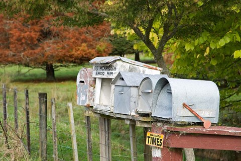 Framed Letterboxes, King Country, North Island, New Zealand Print