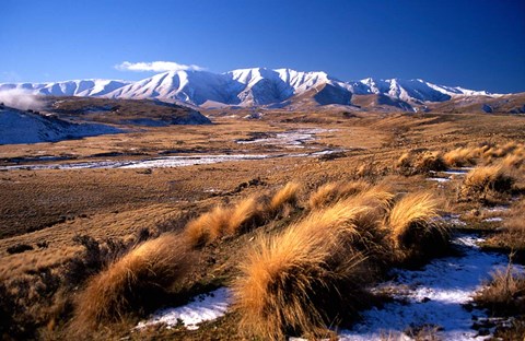 Framed Tussocks and Hawkdun Range, Central Otago, New Zealand Print