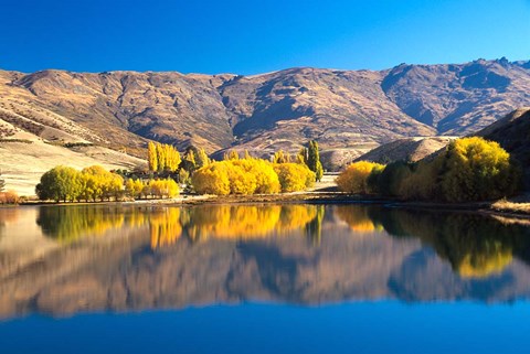 Framed Pisa Range and Lowburn Inlet, Lake Dunstan near Cromwell, Central Otago Print