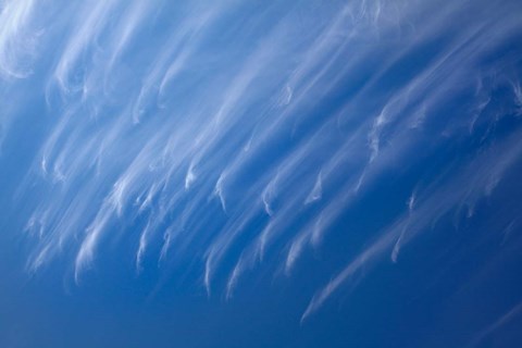 Framed Cirrus Clouds, Dunedin, Otago, South Island, New Zealand Print
