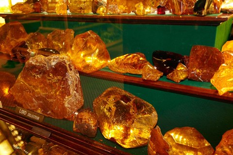 Framed Kauri Gum, Kauri Museum, North Island, New Zealand Print