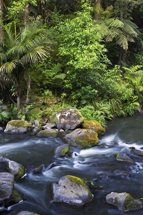 Framed New Zealand, Hatea River, Whangarei Falls, Northland Print