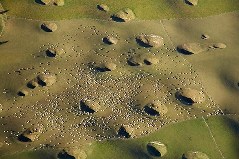 Framed New Zealand, South Island, Sinkholes, Sheep, Agriculture Print
