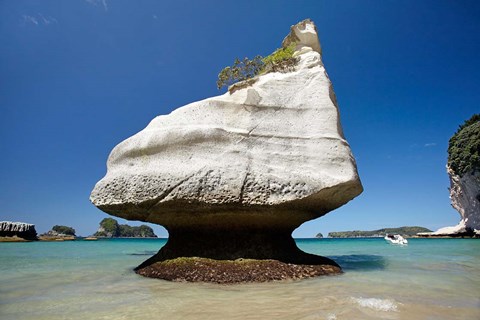 Framed Rock formation, Mares Leg Cove, North Island, New Zealand Print