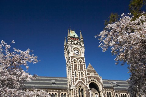 Framed Spring, Clock Tower, Dunedin, South Island, New Zealand (horizontal) Print