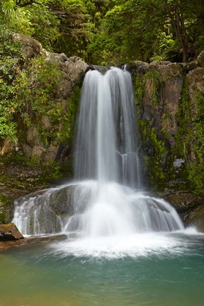 Framed Waiau Waterfall near 309 Road, Coromandel Peninsula, North Island, New Zealand Print