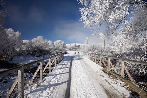 Framed Winter, Bridge, Maniototo, South Island, New Zealand Print