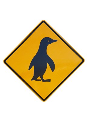 Framed Penguin Warning Sign, New Zealand Print