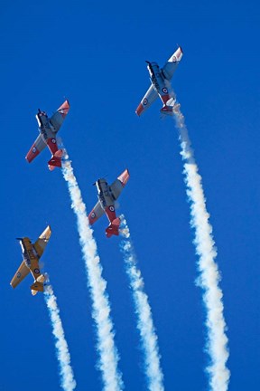 Framed Aerobatic display by North American Harvards, or T-6 Texans, or SNJ, Airshow Print