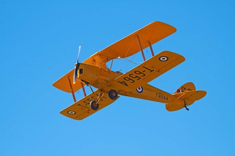 Framed De Havilland DH 82A Tiger Moth Biplane, Warbirds over Wanaka, Airshow, New Zealand Print
