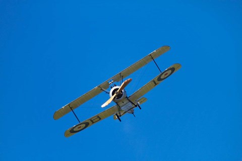 Framed Sopwith Camel, WWI Fighter Plane, War plane Print