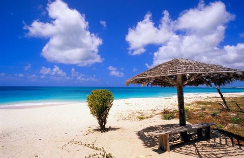 Framed Coco Point Beach, Barbuda, Antigua Print