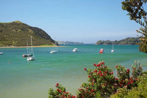 Framed Yachts moored in Waipiro Bay, North Island, New Zealand Print