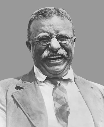 Framed Theodore Roosevelt Smiling Print