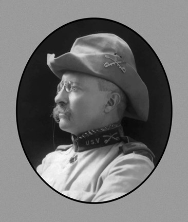 Framed Colonel Theodore Roosevelt (side profile) Print