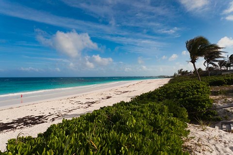 Framed Bahamas, Eleuthera, Harbor Island, Pink Sand Beach Print