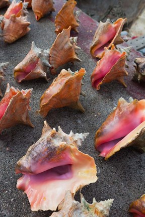 Framed Bahamas, New Providence, Nassau, Straw market Print