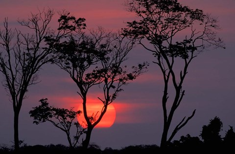 Framed Amazonia Sunset Print