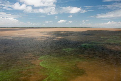 Framed Brazil, Amazon River, Algae bloom Print