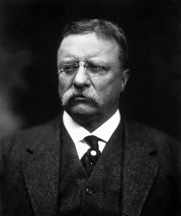 Framed Portrait of Theodore Roosevelt Print