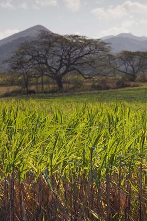 Framed Cuba, San Francisco, Cienfuegos-Trinidad coast Print