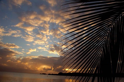 Framed USVI, StThomas, Lindergh Bay, Emerald Beach Print