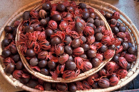 Framed Nutmeg in Public Market, Castries, Caribbean Print