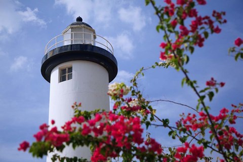 Framed Puerto Rico, Viegues Island, lighthouse of Rincon Print