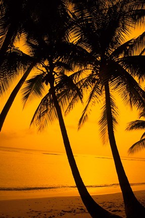 Framed Sunset and Palms, San Juan, Puerto Rico Print