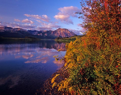 Framed Maskinonge Lake with mountains in the background, Waterton Lakes National Park, Alberta Print