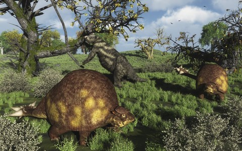 Framed Prehistoric glyptodonts graze on grassy plains An Eremotherium is in the background Print