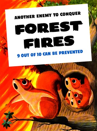 Framed Another Enemy - Forest Fires Print