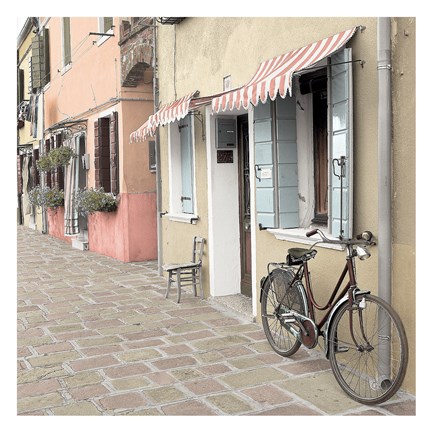 Framed Venetian Bicycle Print