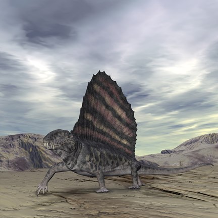 Framed Dimetrodon Grandis Traverses Earth During the Early Permian Period Print