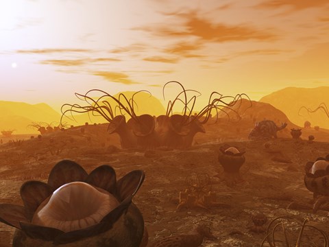 Framed Artist&#39;s Concept of Animal and Plant Life on an Alien Planet Print