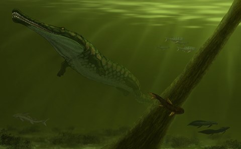 Framed Pedra de Fogo Formation featuring a genus of Prionosuchus Print