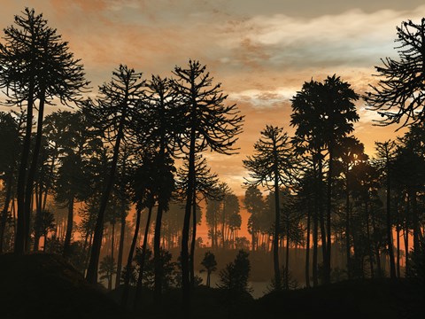 Framed Forest of Cordaites and Araucaria Silhouetted Against a Colorful Sunset Print