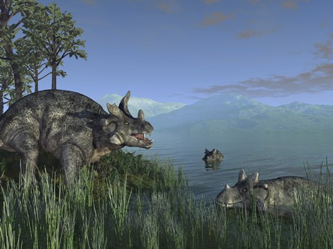 Framed Three Estemmenosuchus Mirabilis Face off in a Paleozoic Lake Print