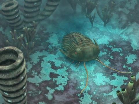 Framed Olenoides Trilobite Scurries across a Middle Cambrian Ocean Floor Print
