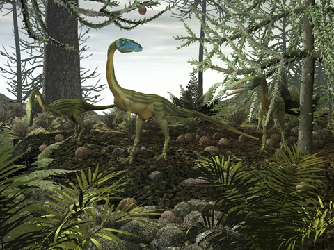 Framed Coelophysis Dinosaurs Walk Amongst a Forest Print